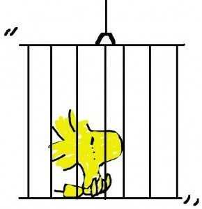 Al fresco, outside or locked up?