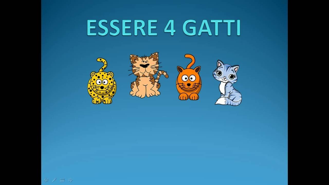 ![essere-4-gatti](/images/img-46-essere-4-gatti-1024x576.jpg)